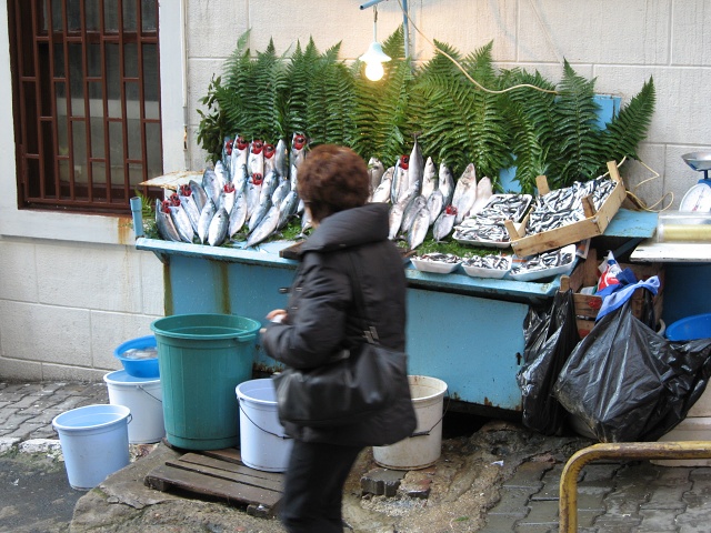 Travels Turkey 2005 004