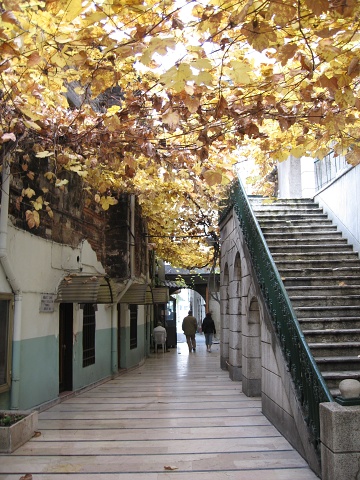 Travels Turkey 2005 010