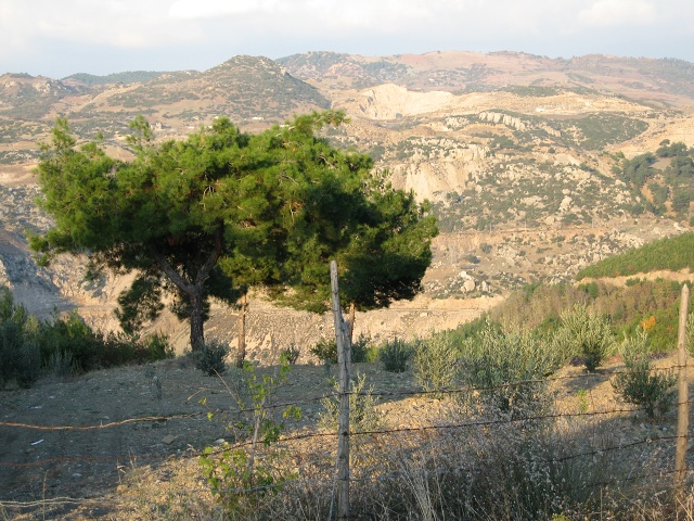 Travels Turkey To Adana A 16 Nov 05